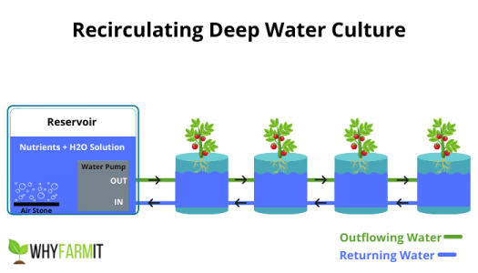 RDWC-System-Diagram.png