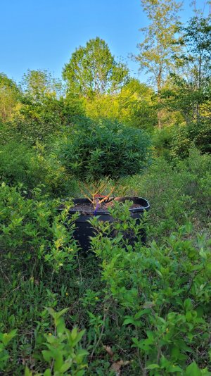 20230529_191839.jpg 20230529_191839.jpg