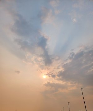 20230606_074405.jpg