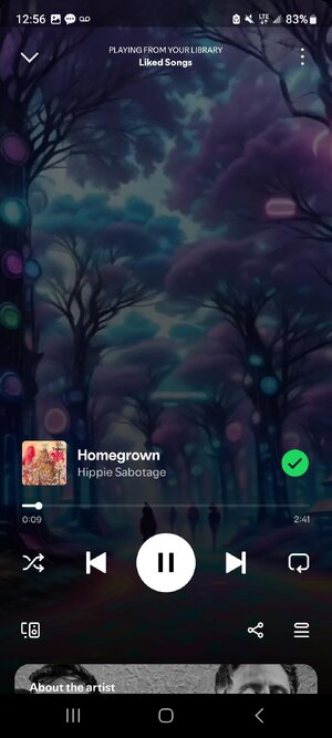 Screenshot_20241112_125620_Spotify.jpg