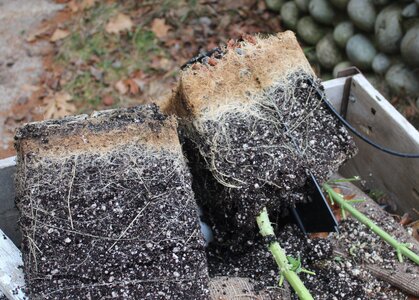 pots with air and without.JPG pots with air and without.JPG