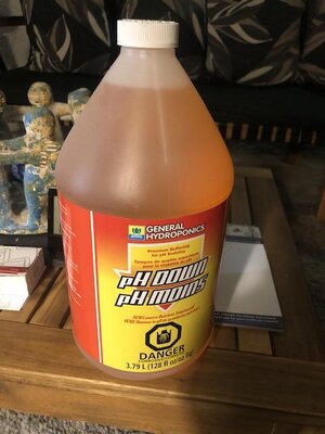IMG_1603.jpeg IMG_1603.jpeg