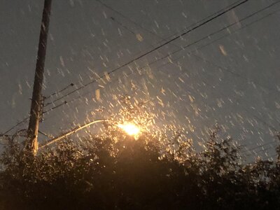 IMG_1750.jpeg