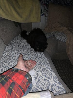 IMG_6232.JPG