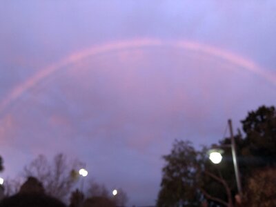 IMG_2445.jpeg