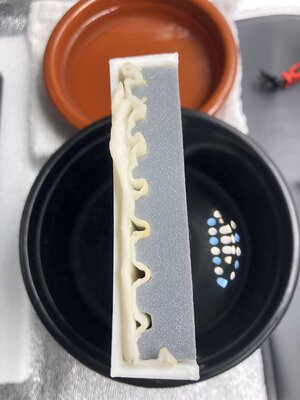 IMG_2384.jpeg IMG_2384.jpeg
