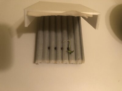 IMG_2412.jpeg IMG_2412.jpeg