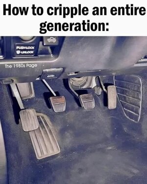 1736811894624.jpeg