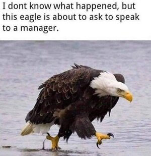 332699-speak-to-the-manager.jpg