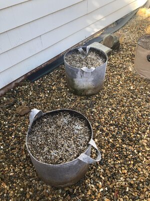 IMG_2791.jpeg IMG_2791.jpeg
