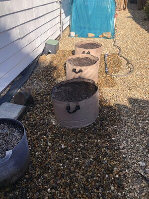 IMG_2792.jpeg IMG_2792.jpeg