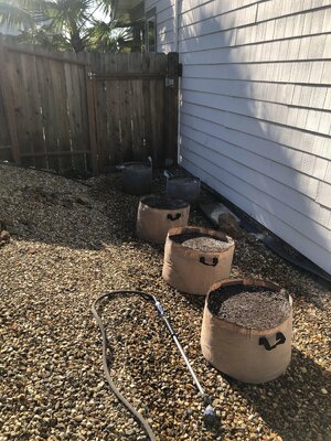 IMG_2789.jpeg IMG_2789.jpeg