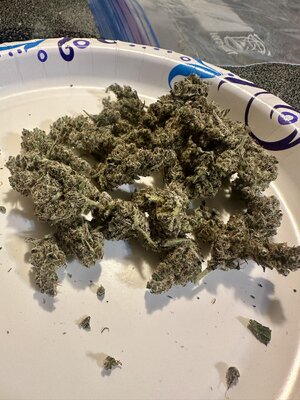 IMG_4917.jpeg IMG_4917.jpeg