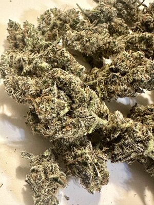 IMG_4918.jpeg IMG_4918.jpeg