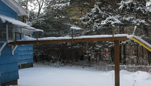 Catio from house to sled.JPG