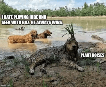 1739411674661.png 1739411674661.png