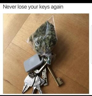 1739415675521.jpeg 1739415675521.jpeg