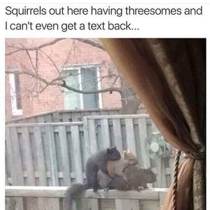 1739593533202.jpeg 1739593533202.jpeg