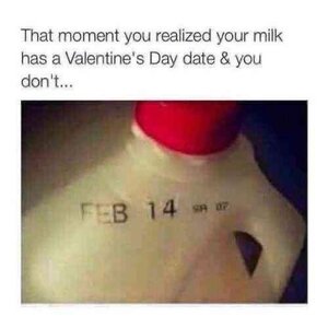 1739593709705.jpeg 1739593709705.jpeg