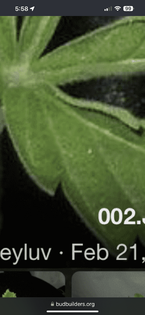 IMG_4941.png