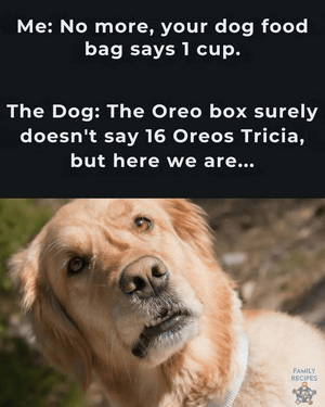 1740316760467.png 1740316760467.png