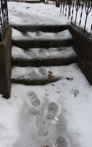 ice steps 2.JPG