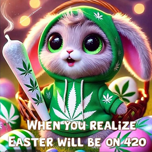 1740441893313.png 1740441893313.png