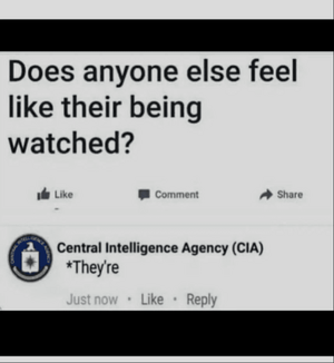 1740677742809.png 1740677742809.png