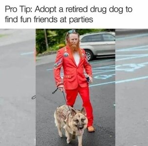 1740770891065.jpeg 1740770891065.jpeg