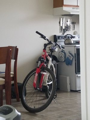 20190217_110918.jpg