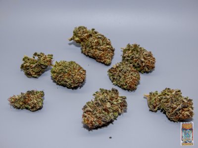 tahoe dragon cookies 2A (1 of 1).jpg