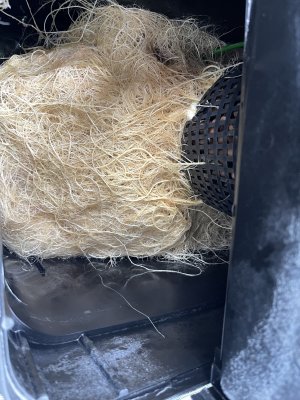 IMG_2830.jpeg