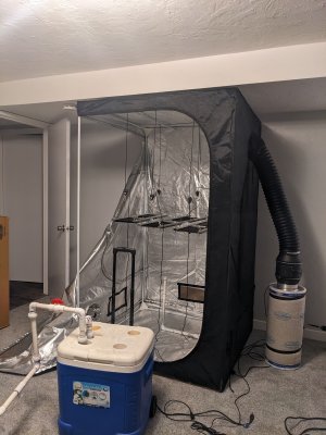 PXL_20230611_084417221.jpg