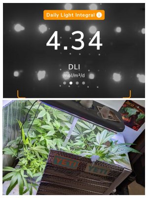 20230614_123908-COLLAGE.jpg