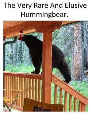 FB_IMG_1741789058215.jpg