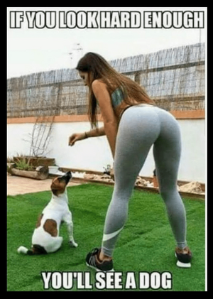 1741815486553.png