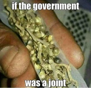 IMG_3181.jpeg