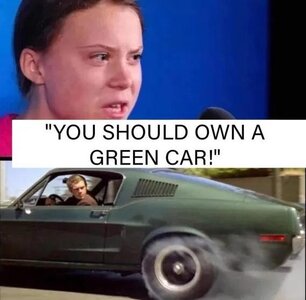 1742017996527.jpeg