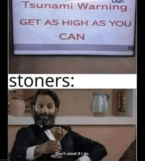 1742075702917.png