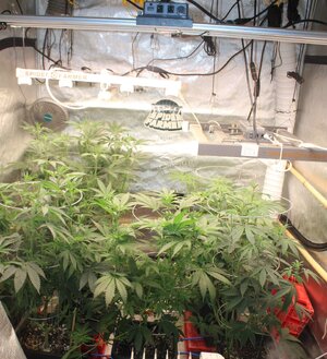 Mar 16 3 up front.JPG