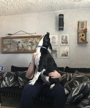 IMG_3198.jpeg