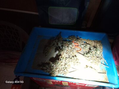 20250319_075114.jpg