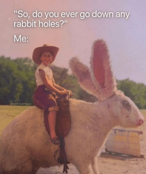 1742676685297.png