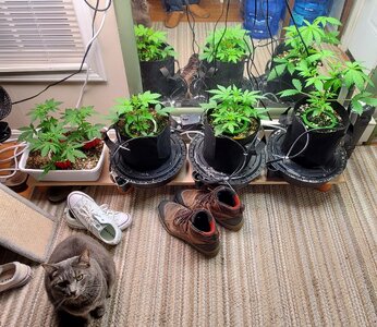 20250323_075922.jpg
