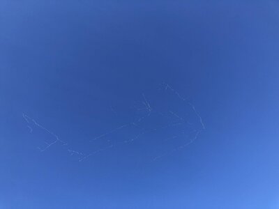 IMG_3821.jpeg