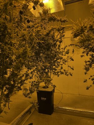 20250324_152304.jpg