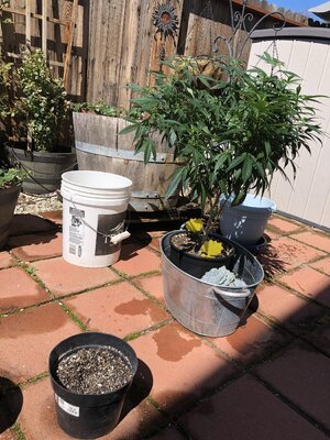 IMG_3855.jpeg IMG_3855.jpeg