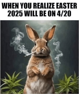 1743175113406.png