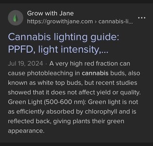 IMG_3359.jpeg