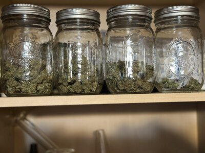 IMG_5330.jpeg IMG_5330.jpeg